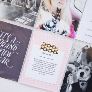 One Little Bird CT | Thrive