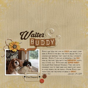 Walter & Buddy - Feb. Slow Scrap - Adjectives-web