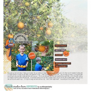Orange You Happy