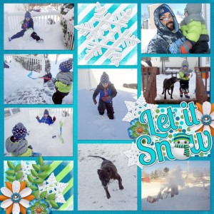 1-Blizzard-2016b