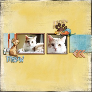 Meow Purr