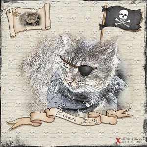 Pirate Kitty