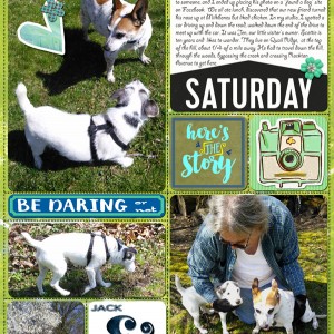 2016-02_Feb-TLP-Selfie-Scrap_web