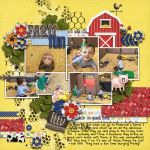 Farm Fun