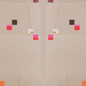 Cover Book 9
