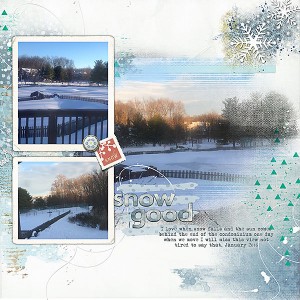 Snow Good