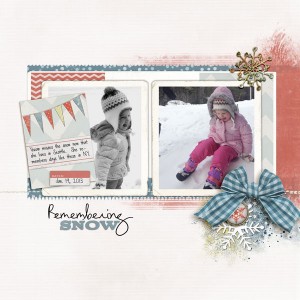 Remembering Snow
