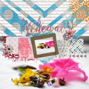 Fresh Renewal