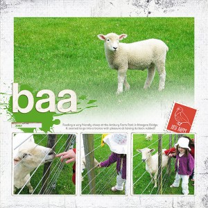 Baa