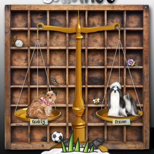AJFEB16: Balance