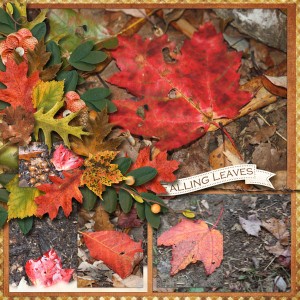 Falling Leaves