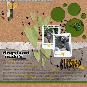 Ringstaartmaki's