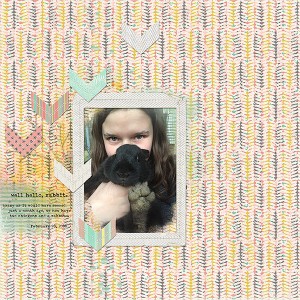 hello, rabbit