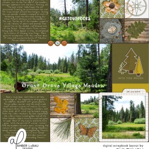 Grant Grove Village Meadow