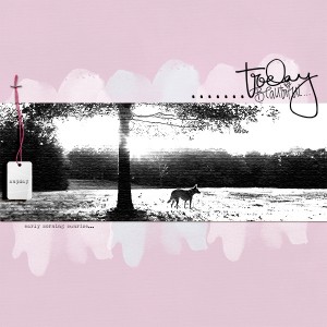Leap Year Scrap : "Any Day"