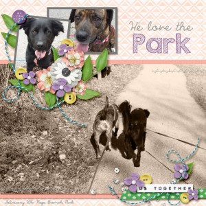 We Love the Park