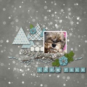 KAagard_WinterSparkleland