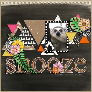 Snooze
