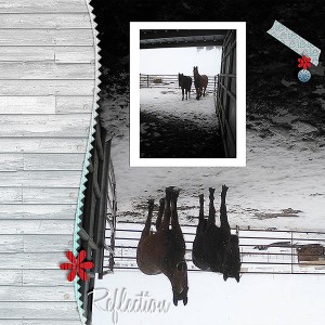 ReflectionWeb-