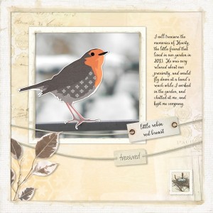 13summer_robin