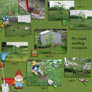 Khadfield_march_blog