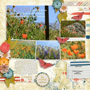 WildFlowerSession-600
