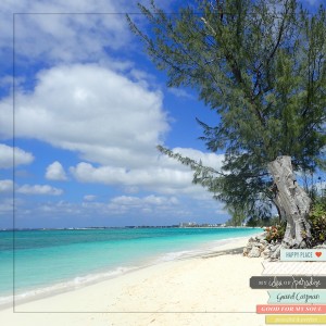 2016-Grand-Cayman