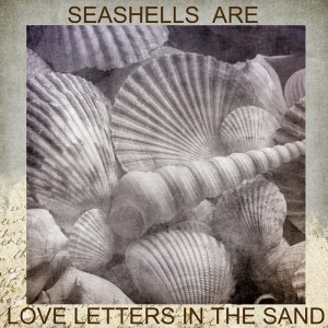 Seashell-style