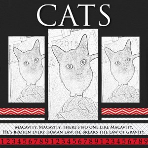 Cats
