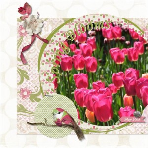 Spring Blooms