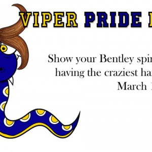 Viper Pride March Flier