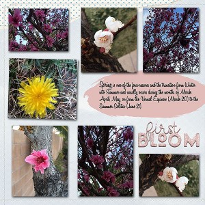 SpringWeb