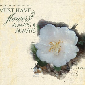 I-Must-Have-Flowers