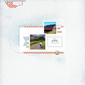 Katell Lilypad 03 2016 (Copier)