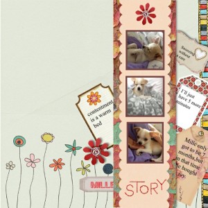 Scraplift Mille