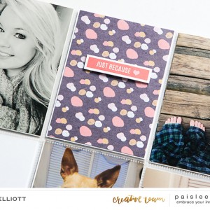 9x12 Pocket Page Detail | Because by Paislee Press