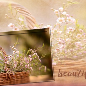 Springcard