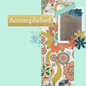 Accomplished-Speed Scrap