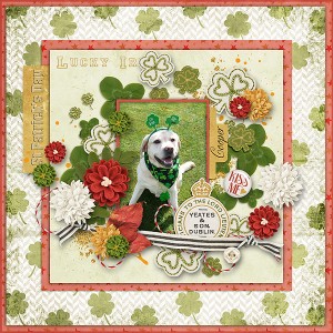 Coopers St.Patrick Day