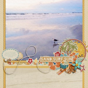 Surf | Sand | Sun