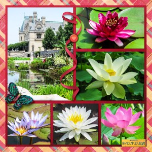 Flowers at the Biltmore