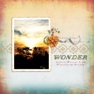Wonder