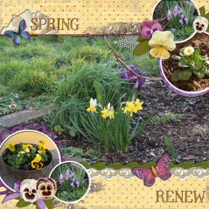 RENEW