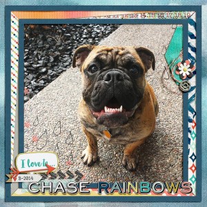 Chase Rainbows
