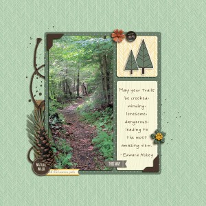 Winding-Trail