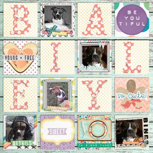 Bailey---Scraplift-Challenge