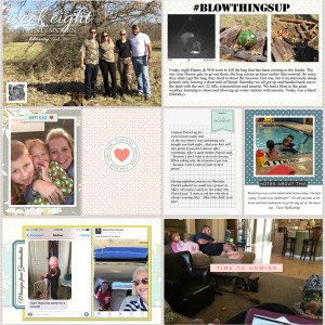 Week 8 Project Life