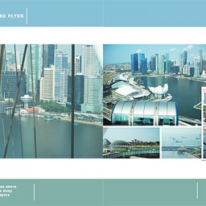 Singapore Flyer