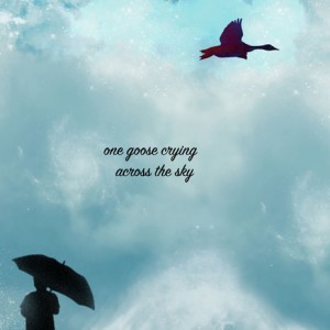 one goose crying | across the sky