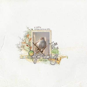 A Little Bird